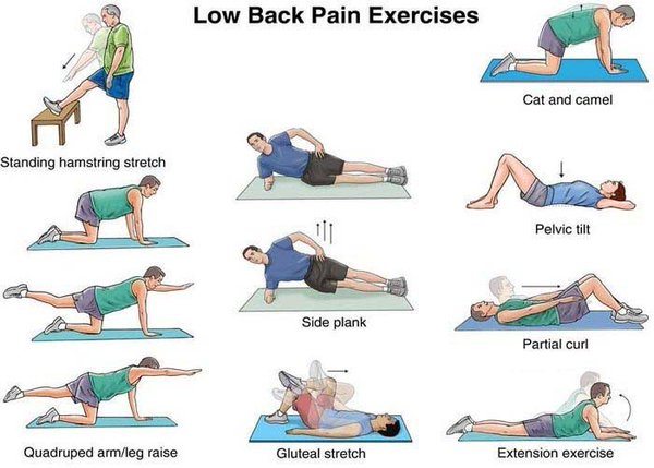Beat Lower Back Pain With Exercise Complete Chiropractic Your